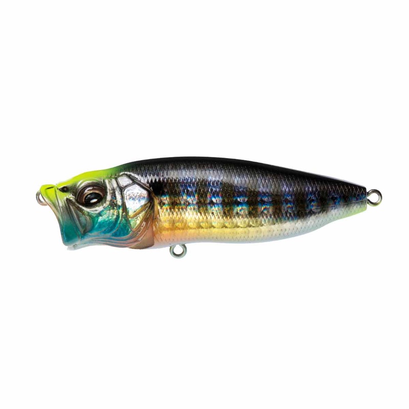 PopMax_GG Wild Gill|3 1/4″