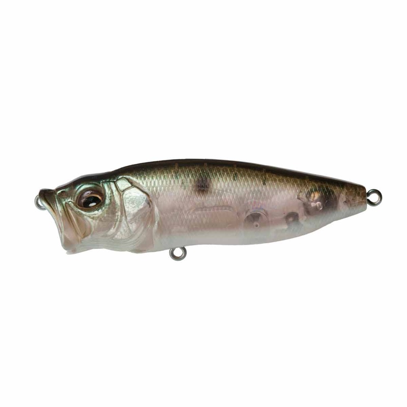 PopMax_MB Gizzard|3 1/4″