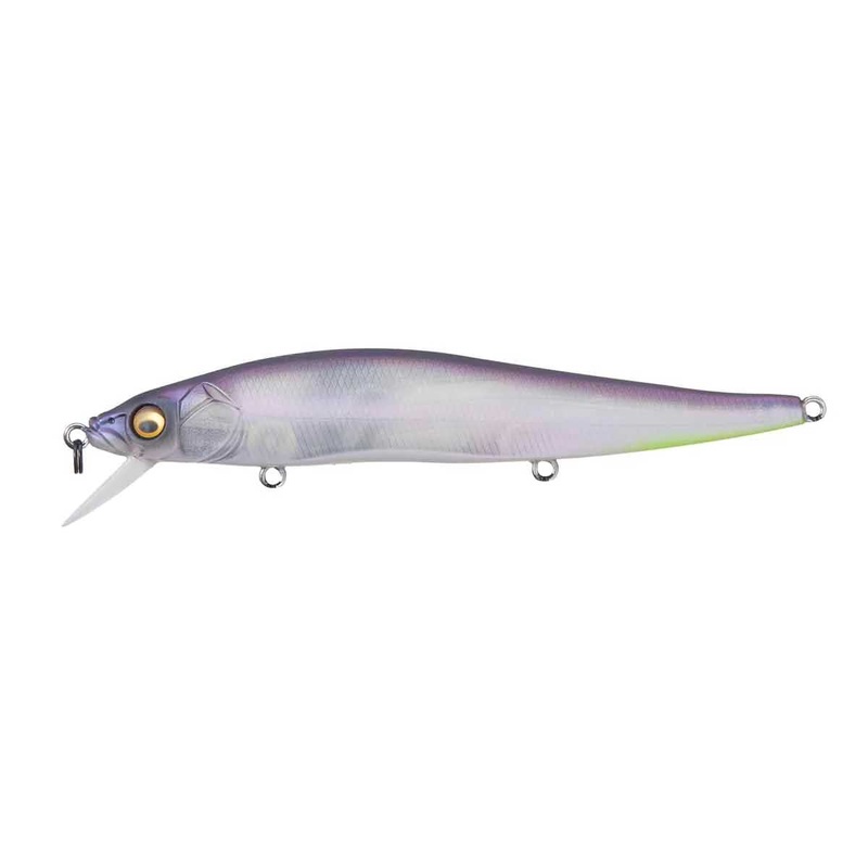 Vision 110_Mat Skeleton Shad|110