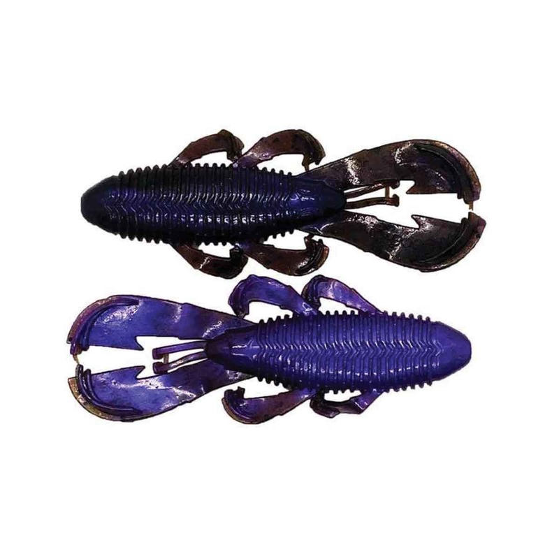 Bandito Bug_Green Pumpkin Purple