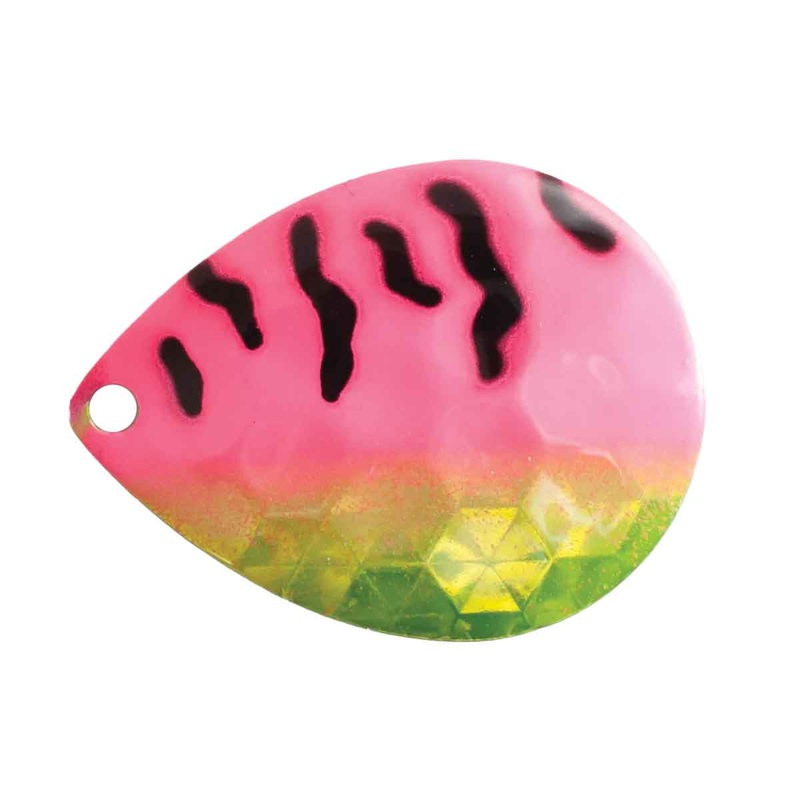 Colorado Blades_String Bikini|2 pack