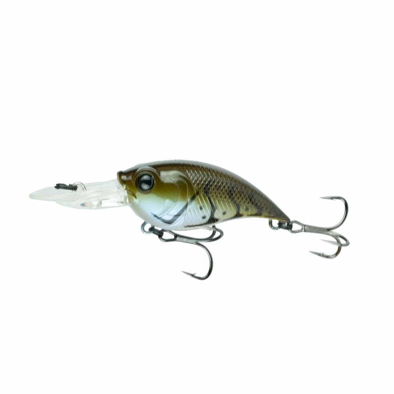 Curve 55_GP Blue Craw|55