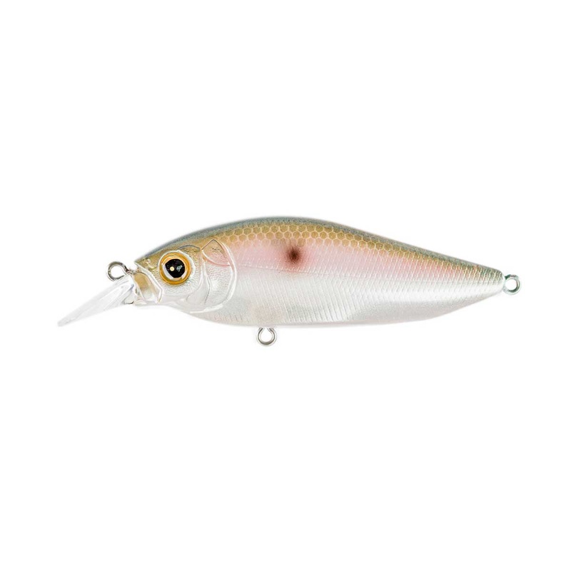 Flap Slap_MB Gizzard|3″