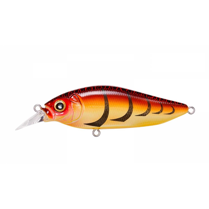 Flap Slap_Tora Zari|3″