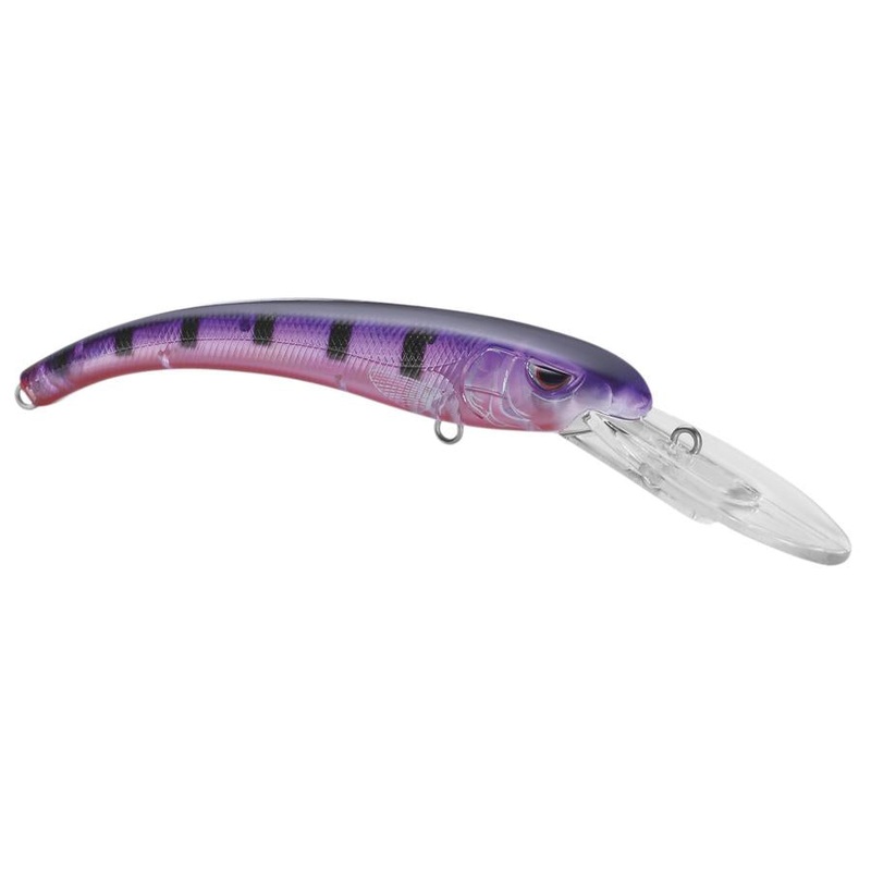 Madeye Diver_Ghost Purple Perch