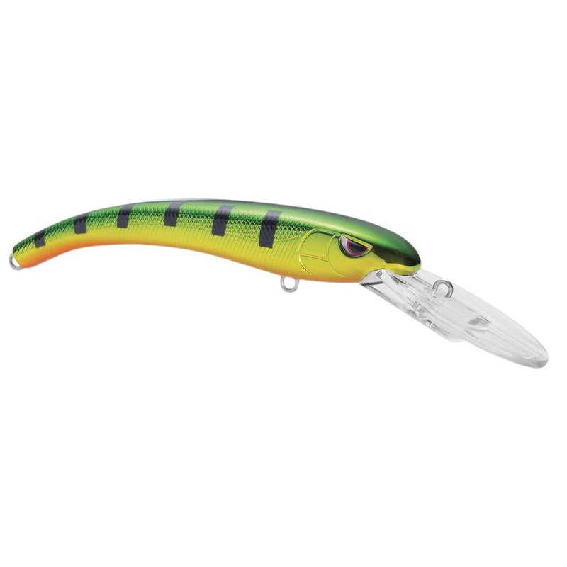 Madeye Diver_Golden Perch|85