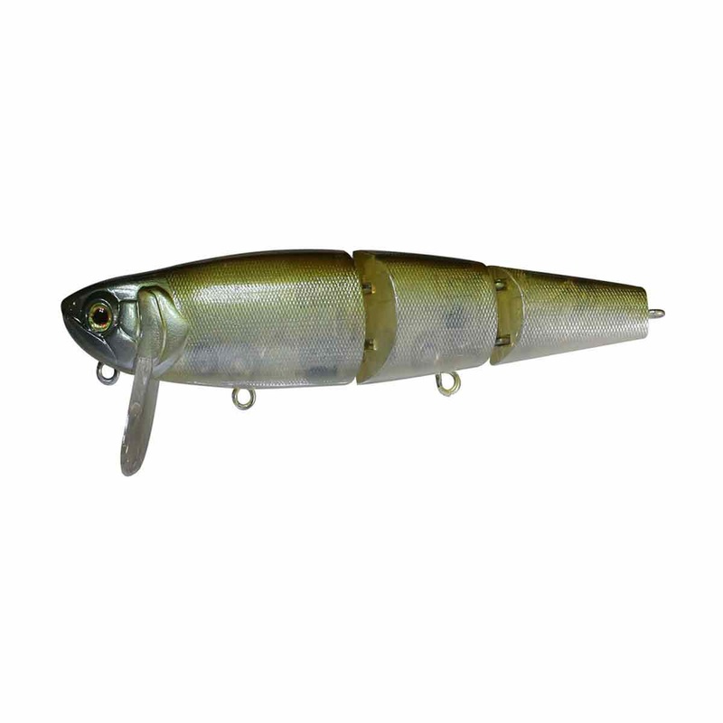 Mikey Jr._Gold Shiner*|3.8″