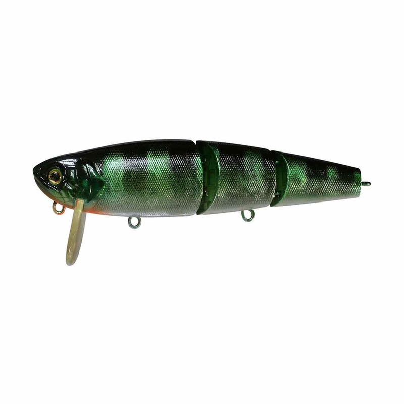 Mikey Jr._HL Sunfish*|3.8″