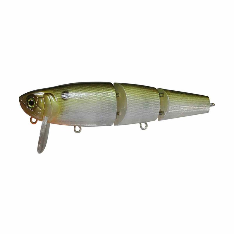 Mikey Jr._Tennessee Shad|3.8″
