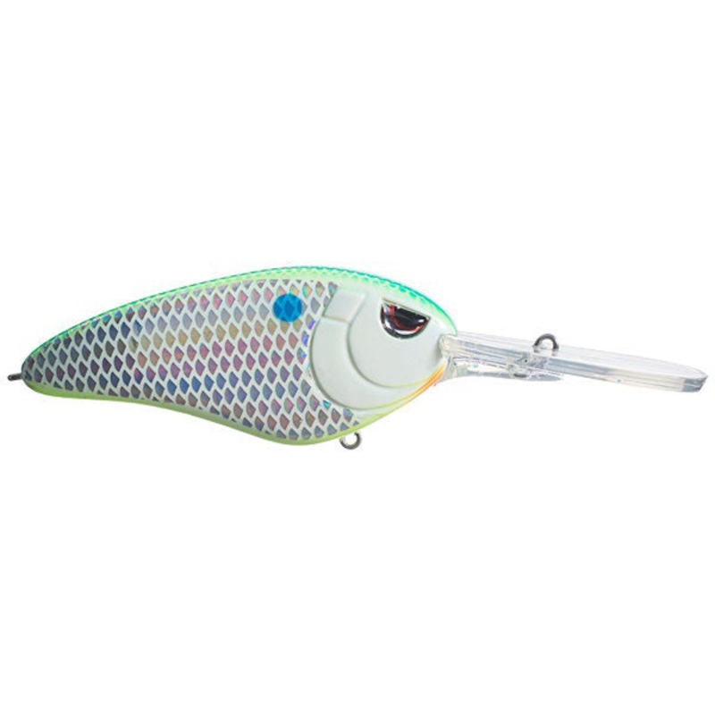 Little John Super DD_Citrus  Shad*