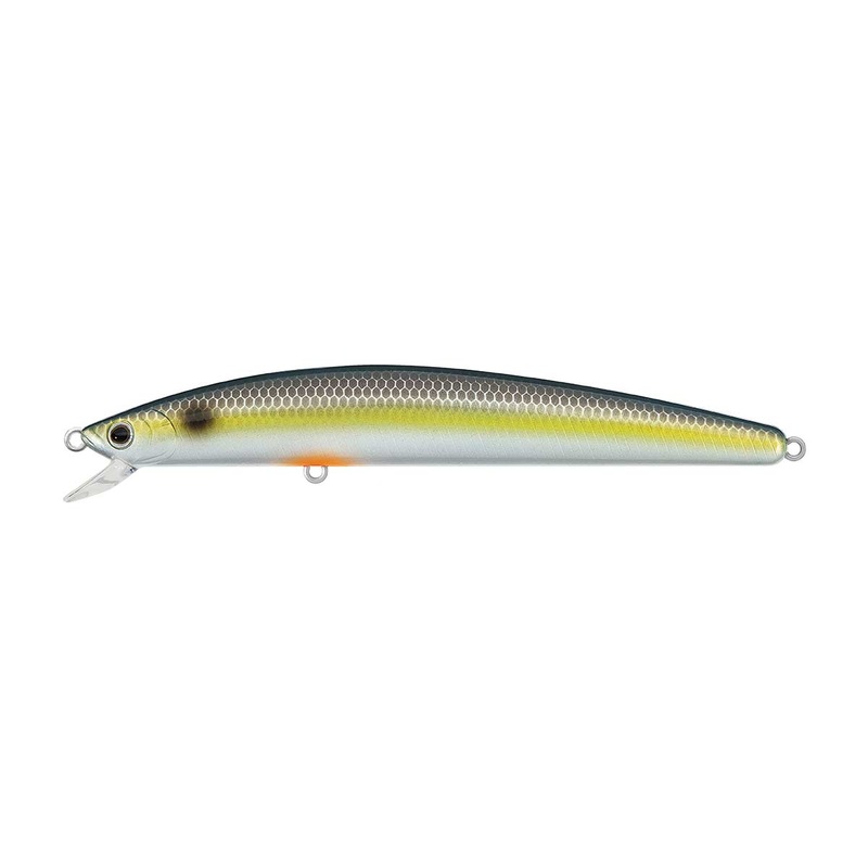 TD Minnow_GQ Shiner*|120