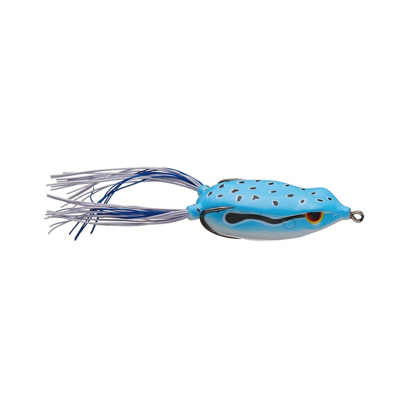 Bronzeye Frog_Blue Sky|65