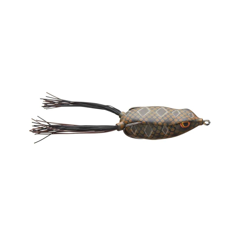 Bronzeye Frog_Diamond Back|65