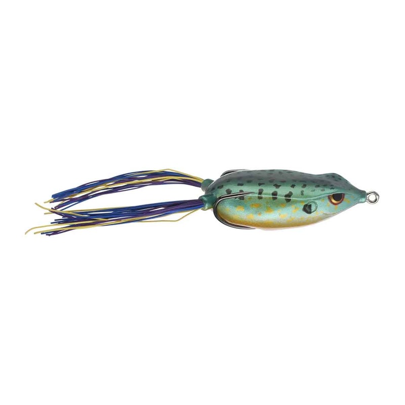 Bronzeye Frog_Sunfish|65