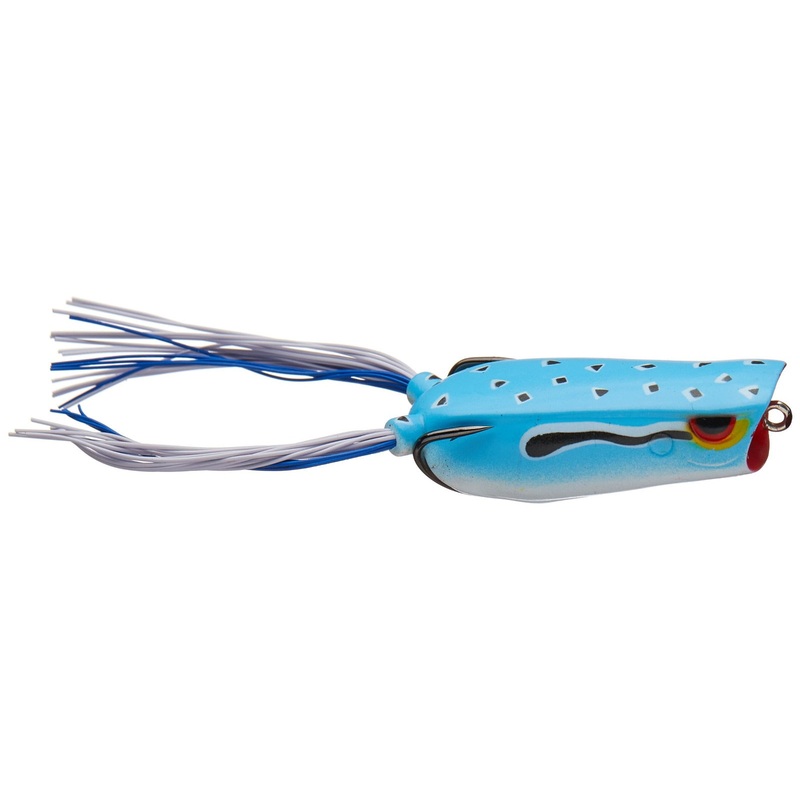 Bronzeye Poppin Frog_Blue Sky|60