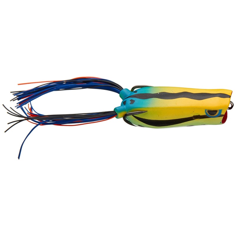 Bronzeye Poppin Frog_Poison Frog