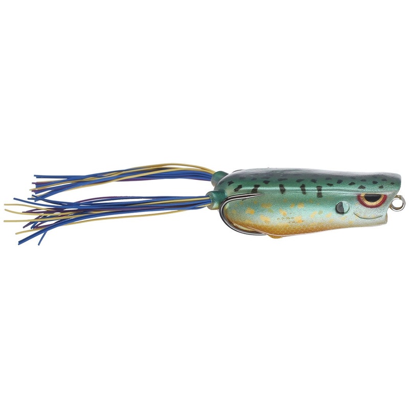 Bronzeye Poppin Frog_Sunfish|60