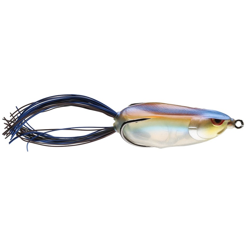 Bronzeye Shad_Blue Back Herring*