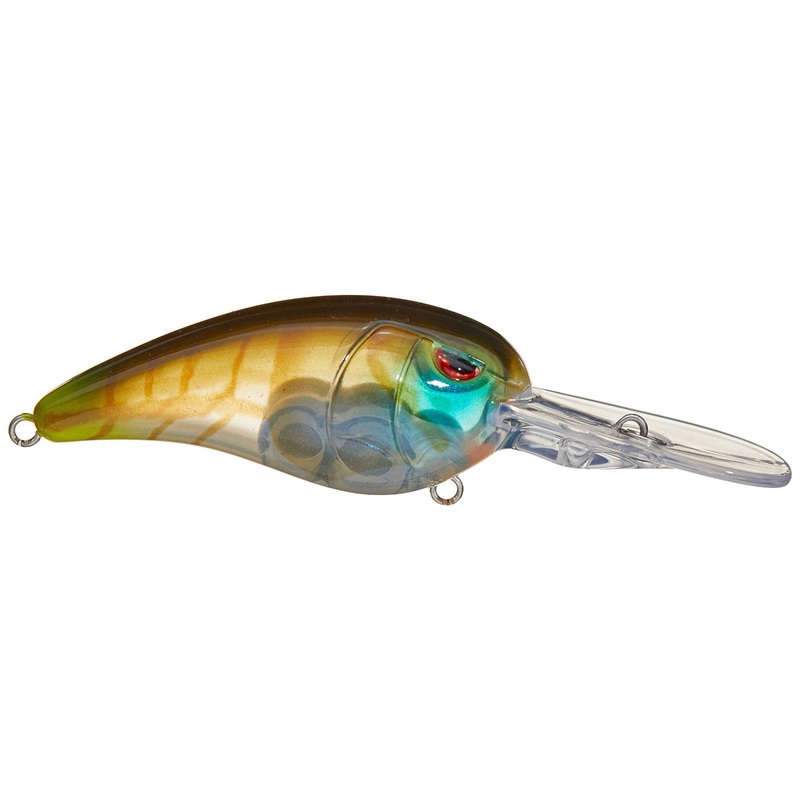 RkCrawler_Clear Gill|55
