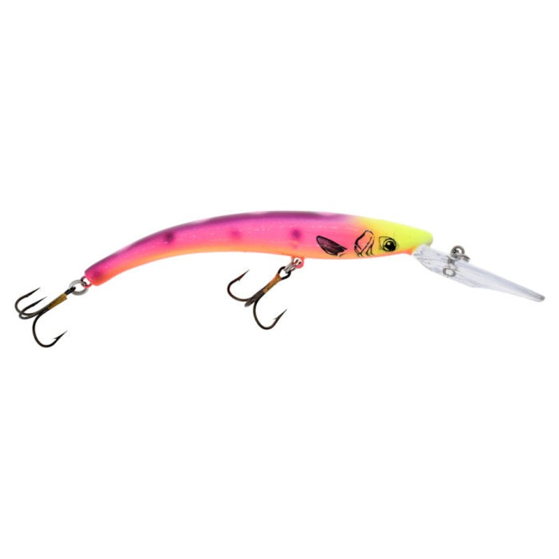 800 Series_Mardi Gras|800