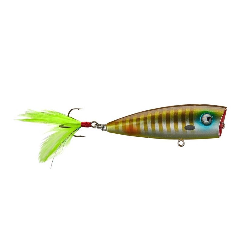 Rio Rico_Gold Digger|2 7/8″