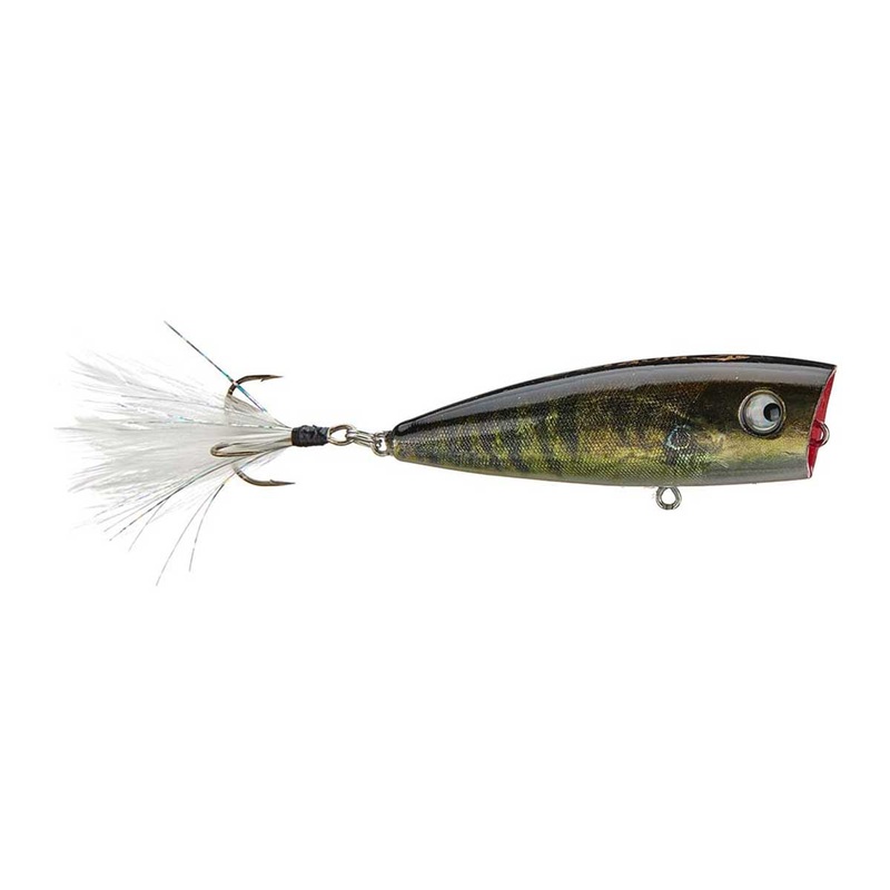 Rio Rico_Real Deal|2 7/8″
