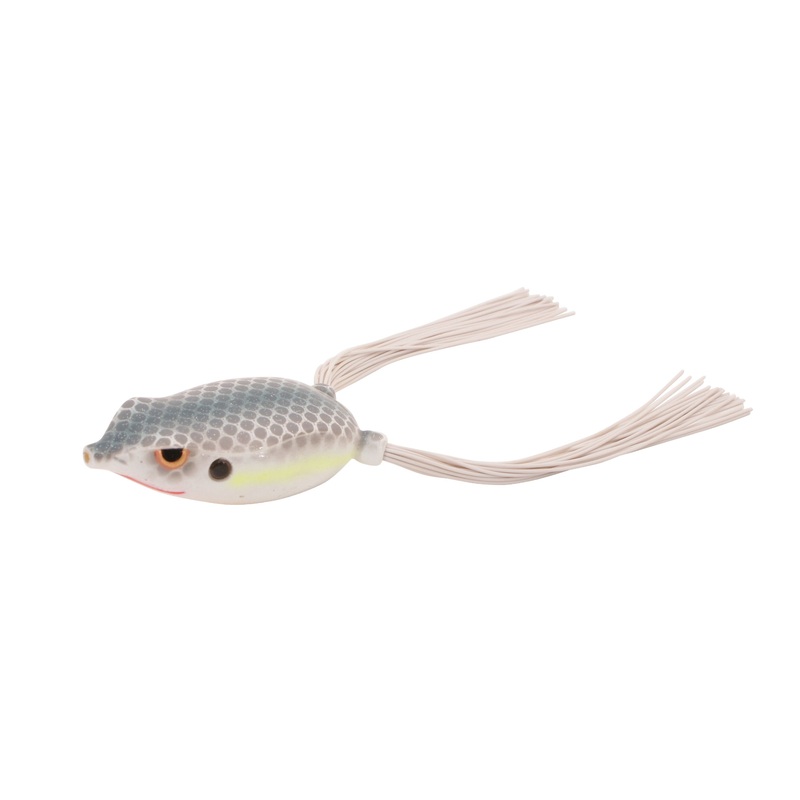 Bronzeye Frog_Nasty Shad|65