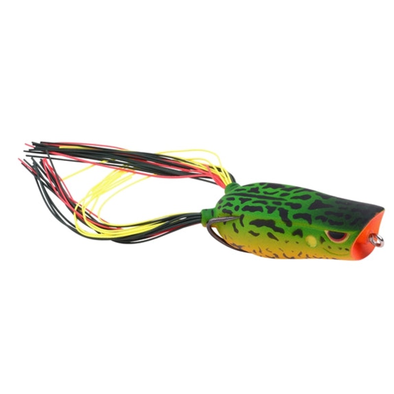 Bronzeye Poppin Frog_Amazon|60