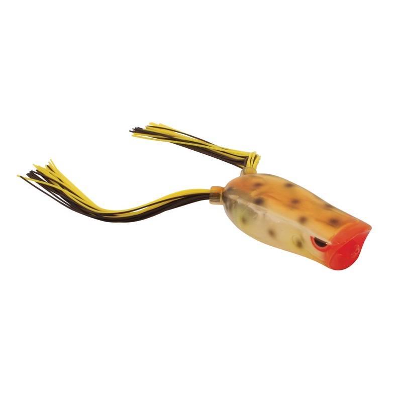 Bronzeye Poppin Frog_Toad|60
