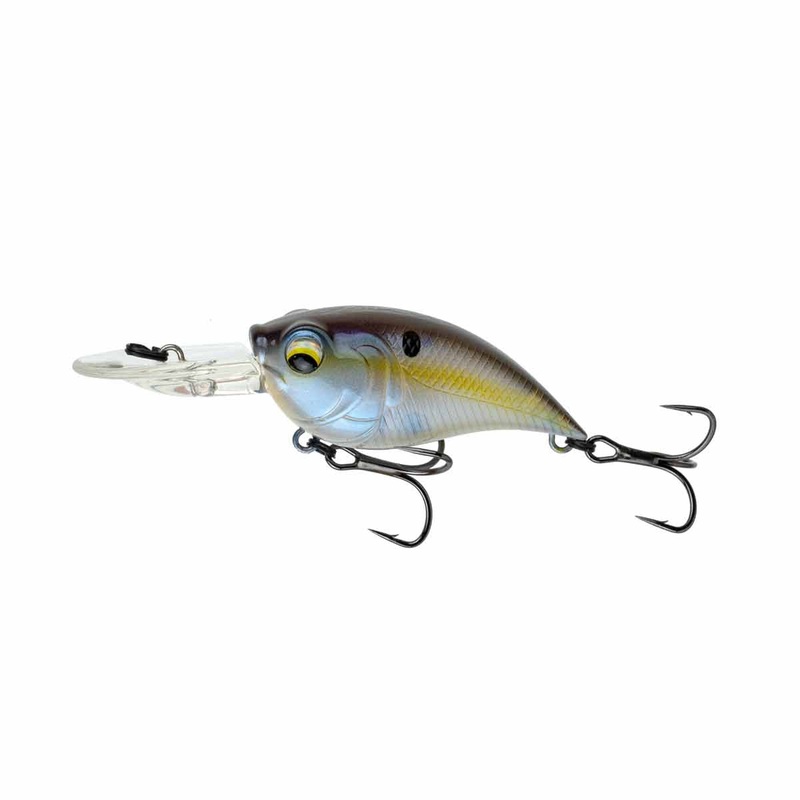 Curve 55_Shad Sense|55