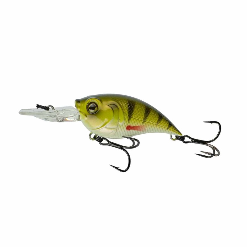 Curve 55_Yellow Perch|55