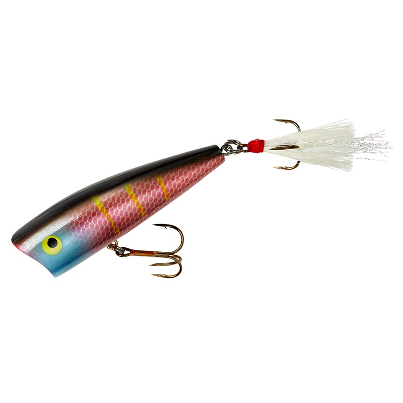 Pop R Plus_Purple Shad|P61