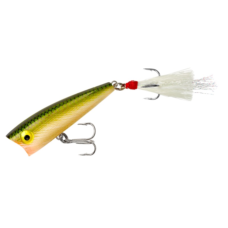 Teeny Pop R_Tennessee Shad|P50