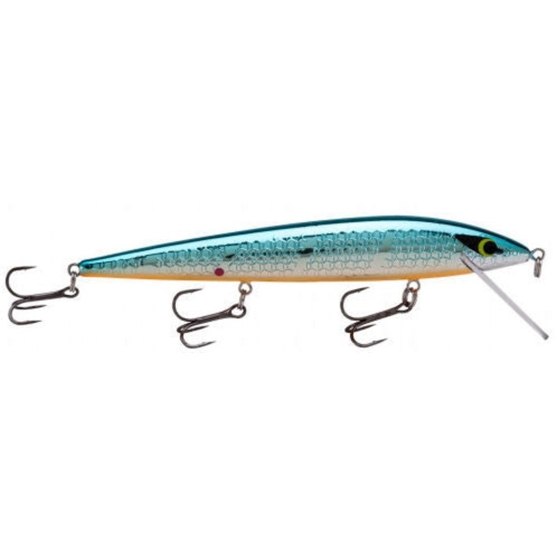 Elite 8 Rogue_Chrome/Blue Back Orange Belly