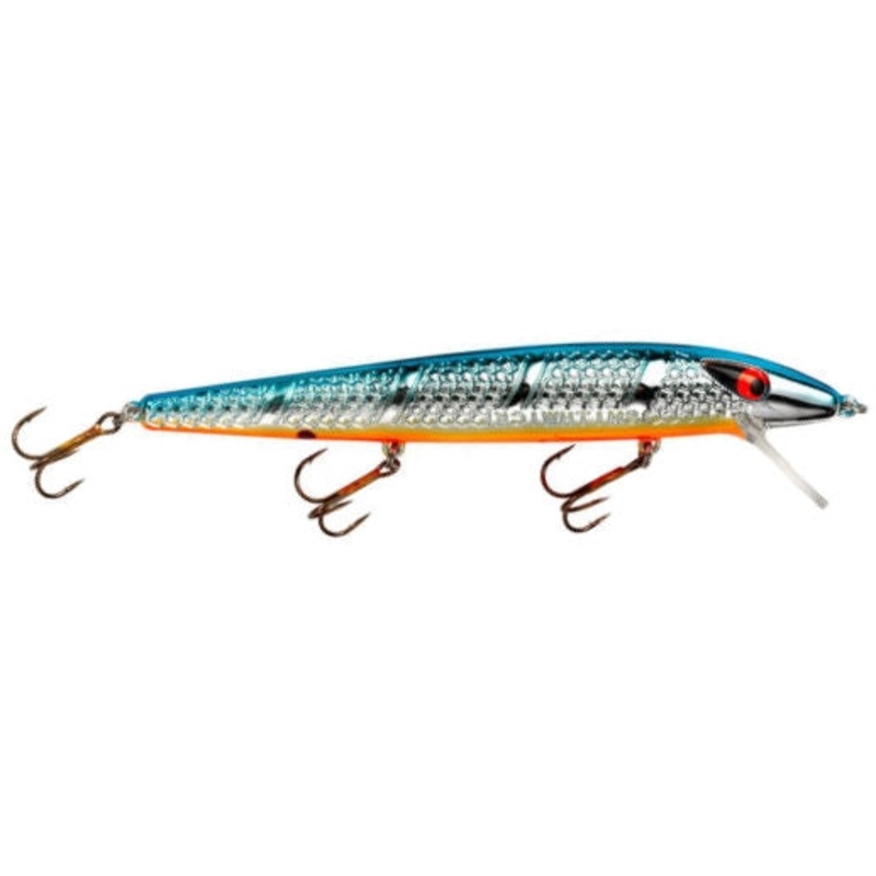 Susp. Super Rogue_Chrome/Blue Back Orange Belly