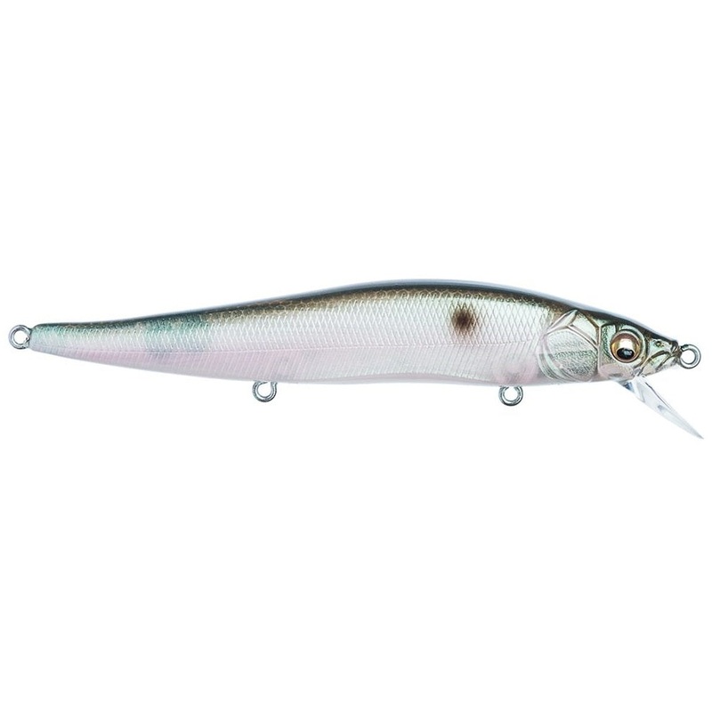 Vision 110 Silent_MB Gizzard Shad