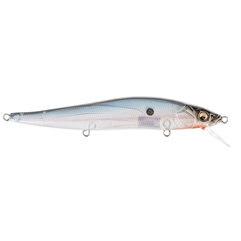 Vision 110 Silent_PM Ghost Shiner