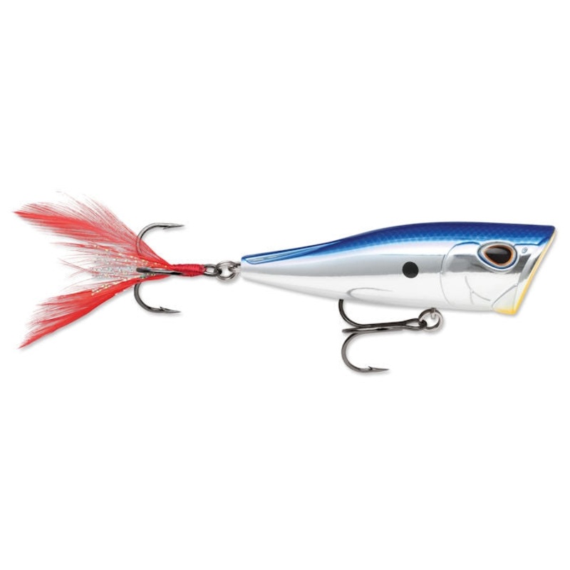 Arashi Cover Pop_Pro Blue Shad