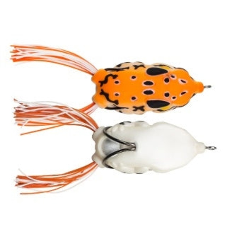 Compact Frog_Sunrise|2.25″
