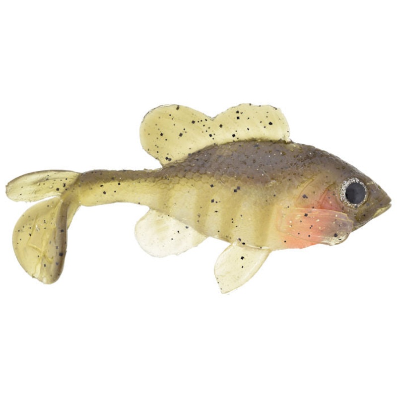 All American Sun Fish_Male Bluegill