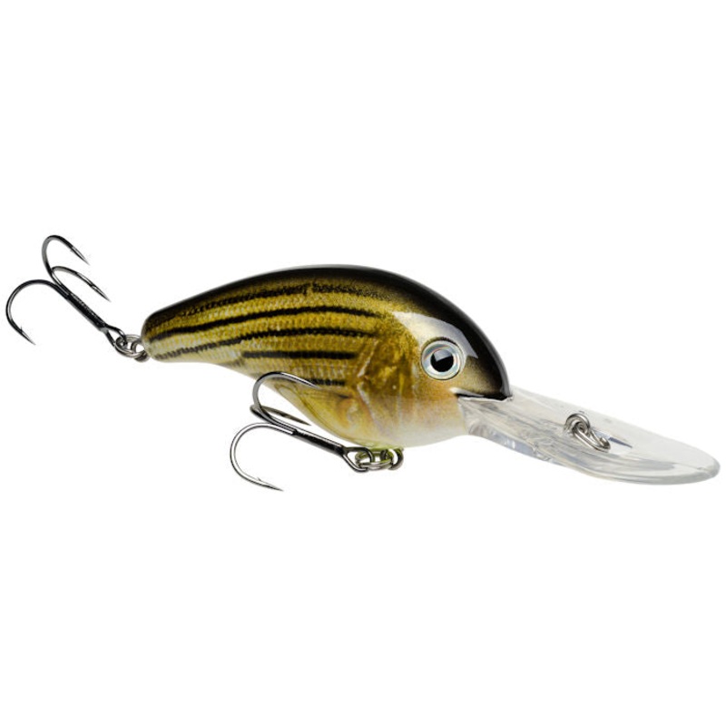 Pro-Model 5XD Crankbait_Barfish