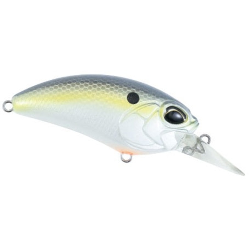 Crank M62_American Shad*|5A