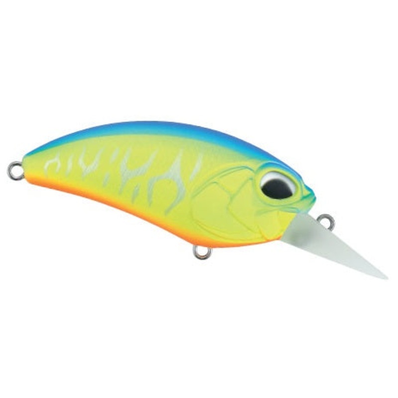 Crank M62_Mat Blue Back Chart Tiger*