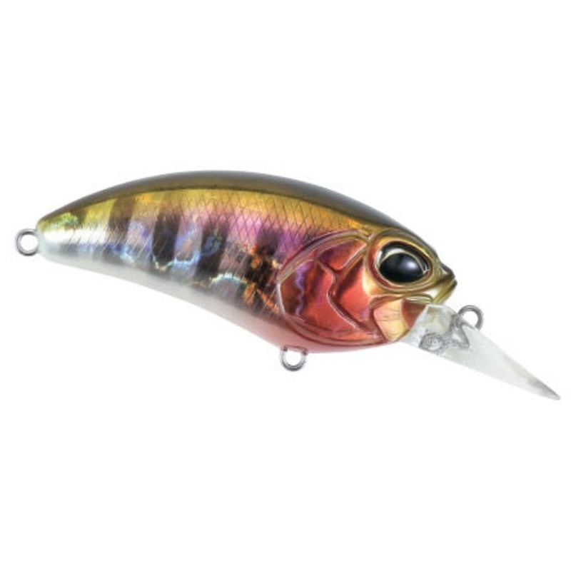 Crank M62_Prism Gill|2 1/2″