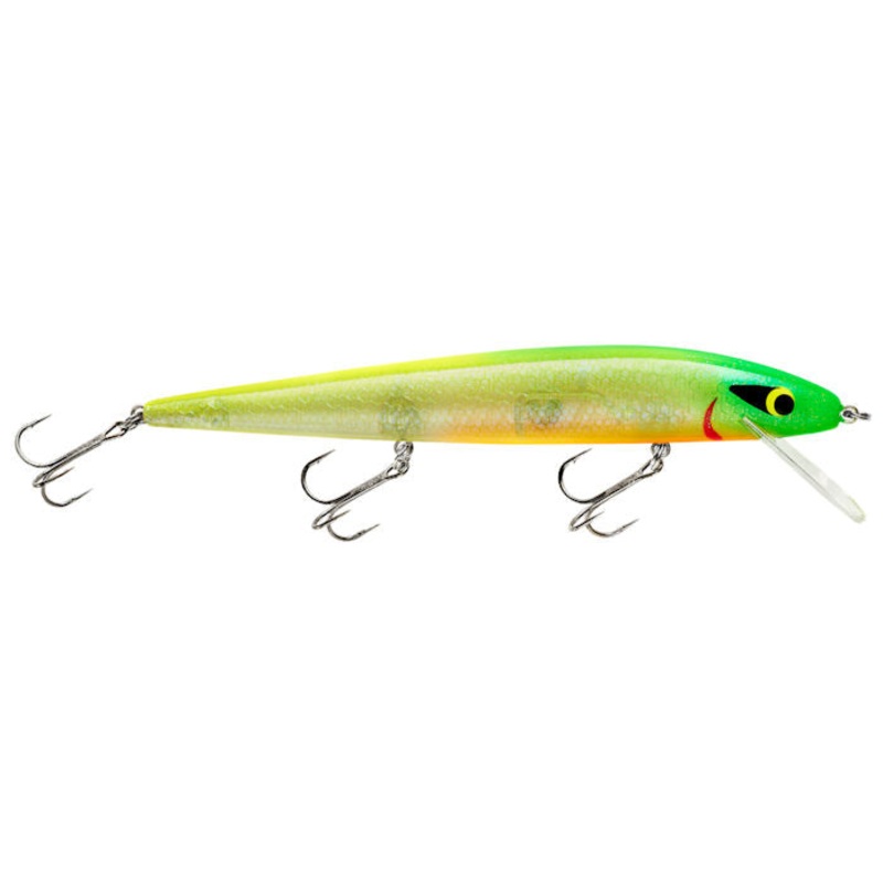 Perfect 10 Rogue_Lemon Lime Orange Crush OB