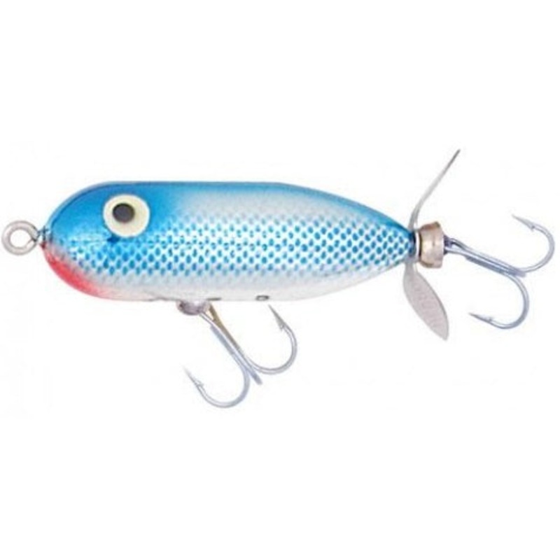 Baby Torpedo_Blue Shiner|2 1/2″