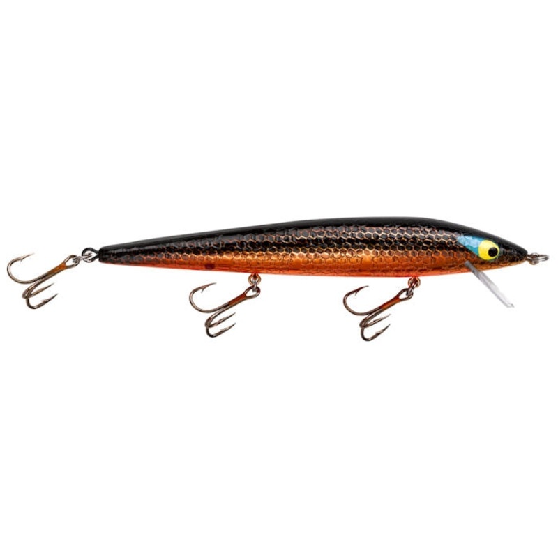 Floating Rattlin’ Rogue_Gold Rogue