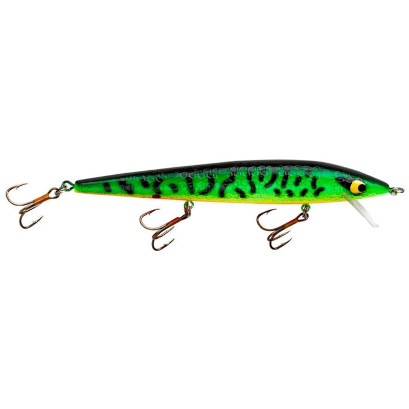 Floating Rattlin’ Rogue_Tiger Roan