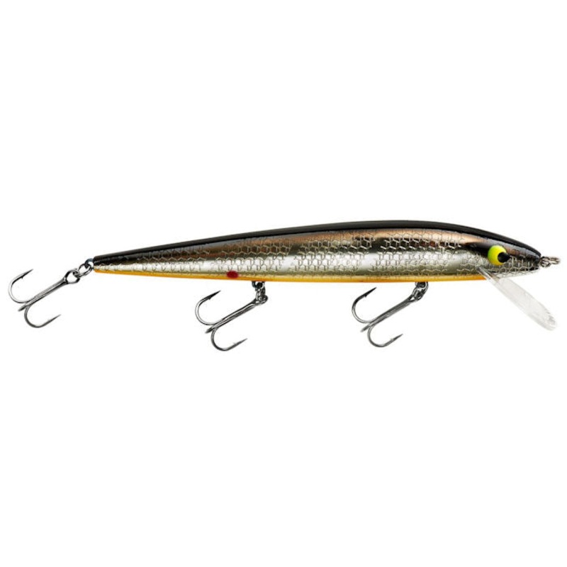 Perfect 10 Rogue_Chrome/Black Back Orange Belly