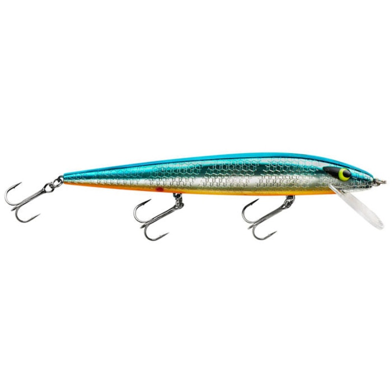 Perfect 10 Rogue_Chrome/Blue Back Orange Belly